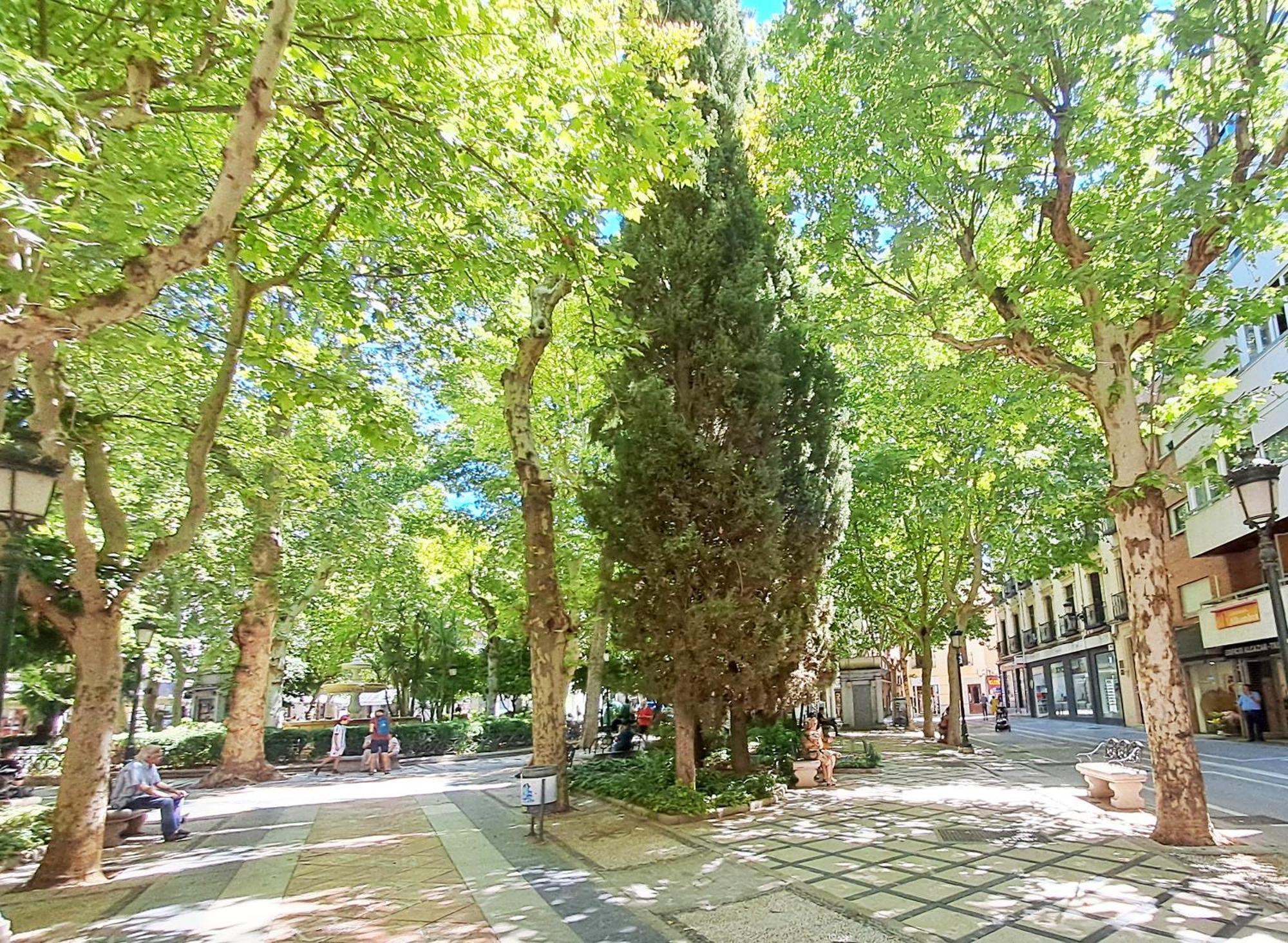Apartasuite Centro Historico Atico Tranquilo Y Luminoso En El Corazon De Granada Exterior foto