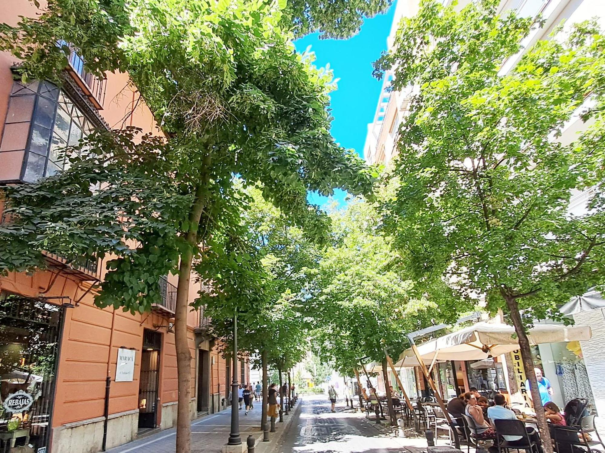 Apartasuite Centro Historico Atico Tranquilo Y Luminoso En El Corazon De Granada Exterior foto